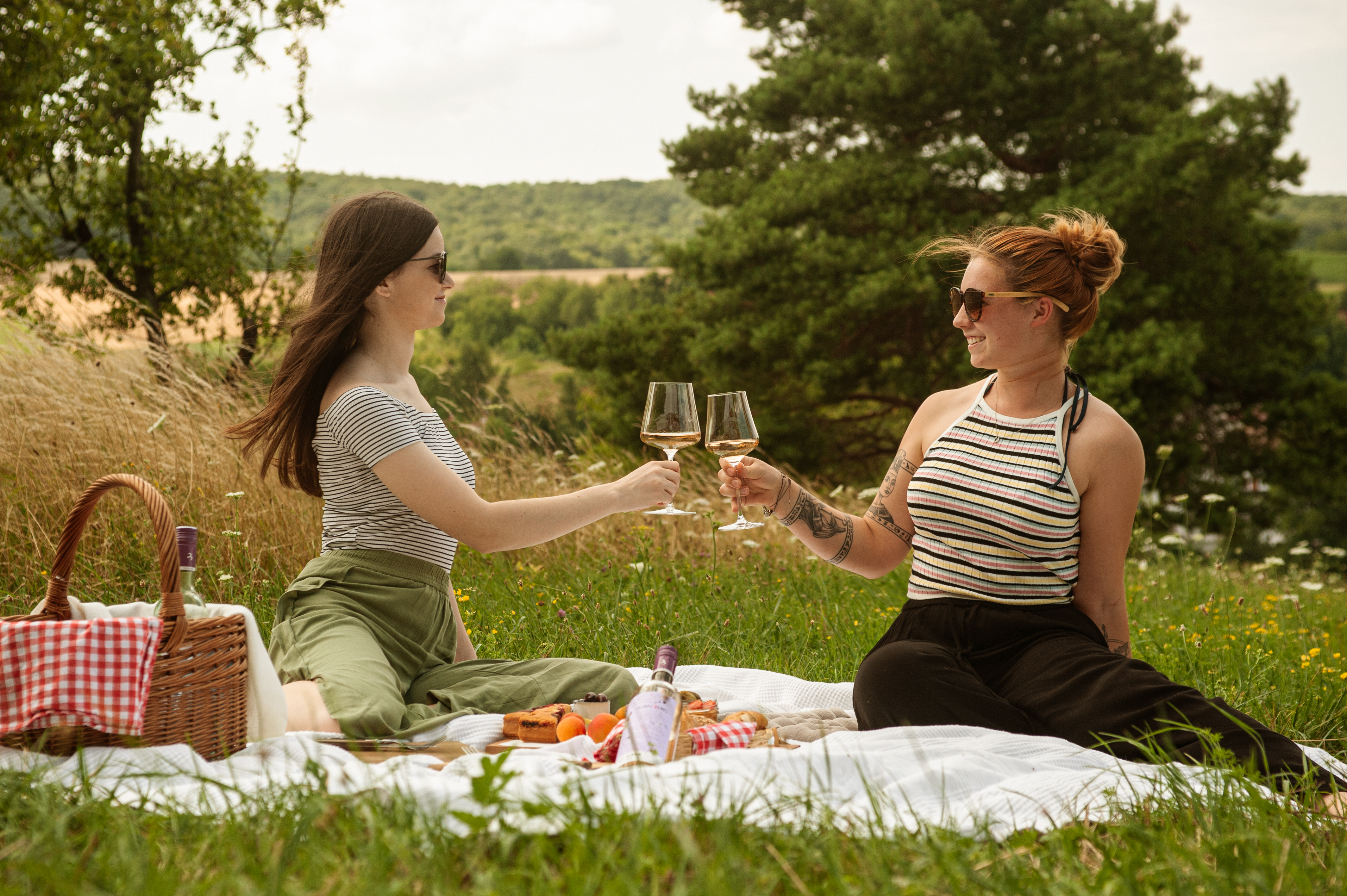 Zwei Frauen, stoßen bei einem Picknick im Grünen an 