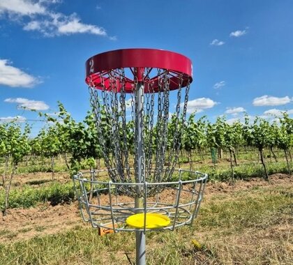 Im Vordergrund ein Discgolf Korb in dem eine gelbe Scheibe (Disc) liegt. Im Hintergrund die Poysdorfer Weingartenlandschaft.