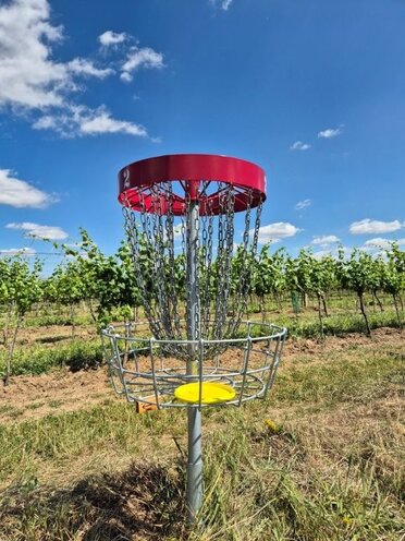 Im Vordergrund ein Discgolf Korb in dem eine gelbe Scheibe (Disc) liegt. Im Hintergrund die Poysdorfer Weingartenlandschaft.