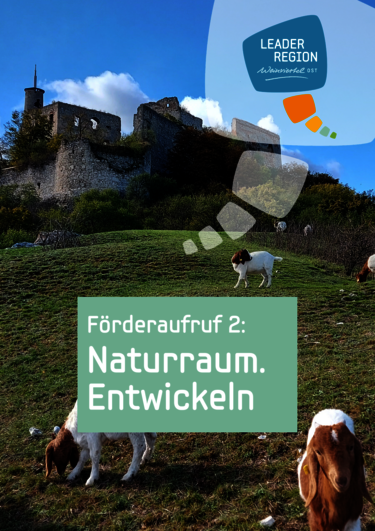 Fördercall 2 Bild
