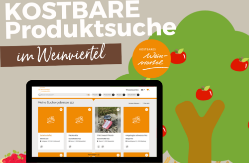 Grafik der Produktsuche auf der Website des KOSTbaren Website