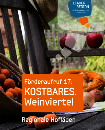 Sujet 17. Förderaufruf KOSTBARES Weinviertel, Obst auf einer Bank mit Weinviertelhut und Beschriftung "Regionale Einkaufsmöglichkeiten"