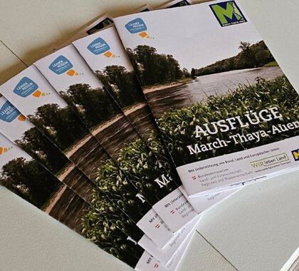 Die Broschüren des neuen Tagesausflugsprogramm in den March-Thaya-Auen liegen auf einem Tisch aufgefächert auf.