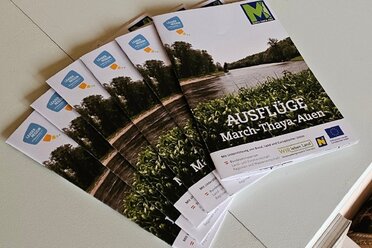 Broschüre Tagesausflüge in den March-Thaya-Auen, C: Regionalverband March-Thaya-Auen Die Broschüren des neuen Tagesausflugsprogramm in den March-Thaya-Auen liegen auf einem Tisch aufgefächert auf.