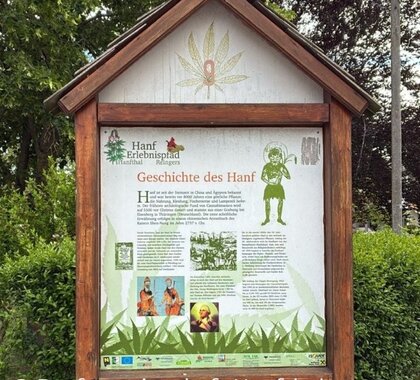 Informationstafel des Hanf-Erlebnispfades in Hanfthal. Die Tafel mit dem Titel „Geschichte des Hanf“ erklärt die historische Bedeutung des Hanfanbaus in der Region und zeigt dazu Illustrationen, historische Abbildungen und Texte. Die Tafel ist in einem hölzernen Schaukasten entlang des Themenwegs aufgestellt und von Bäumen sowie Hecken umgeben.