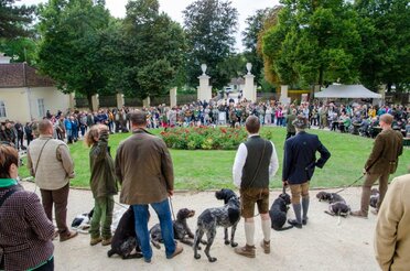 Die Veranstaltung Wein Wild Weinviertel 2023 im Schloss Wilfersdorf, viele Gäste und Jagdhunde sind am Vorplatz des Schloss Wilfersdorf zu sehen.