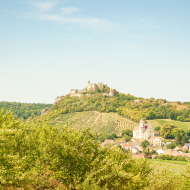 Panoramaaufnahme der Burgruine Falkenstein im Sommer