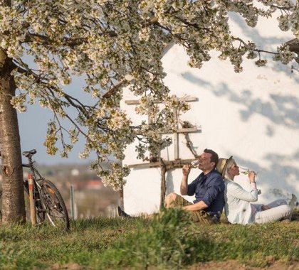 Ein junges Pärchen sitzt vor einem Weinkeller unter einem blühenden Baum und genießt ein Achterl Wein.