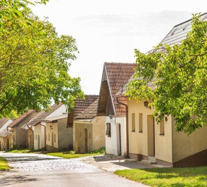 Kellergassen von Pillichsdorf, mittig eine Straße, am rechten Straßenrand stehen nebeneinander Presshäuser. Im Vordergrund steht rechts und links ein grüner Laubbaum.