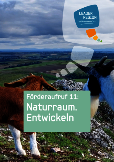 Bild zum 11. Förderaufruf Naturraum.Entwickeln