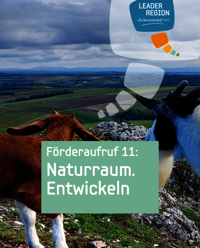 Bild zum 11. Förderaufruf Naturraum.Entwickeln