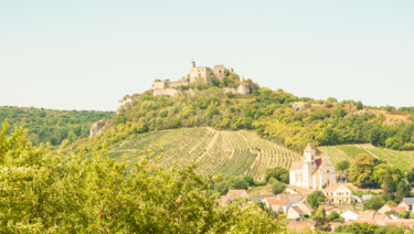 Panoramaaufnahme der Burgruine Falkenstein im Sommer