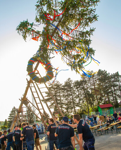 Maibaumaufstellen (c) Semrad Maibaumaufstellen (c) Semrad