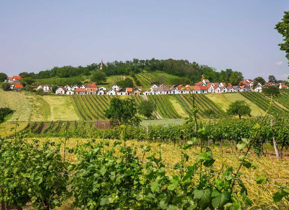 Kellergasse Wildendürnbach