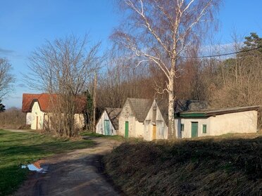 Kellergassen Waldstätten in Neuruppersdorf, eine Kellerzeile auf der rechten Straßenseite mit Birkenbäumen im Vordergrund.