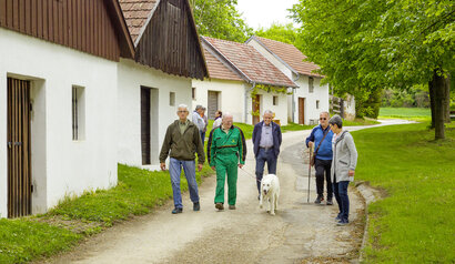 Menschengruppe mit Hund gehen durch eine Kellergasse