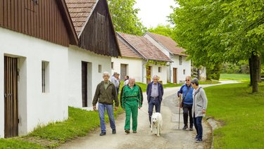 Menschengruppe mit Hund gehen durch eine Kellergasse