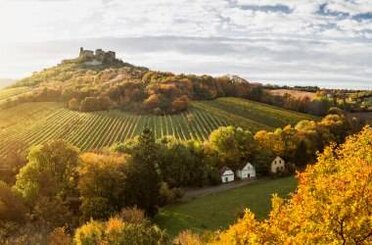 Weinviertel_Falkenstein