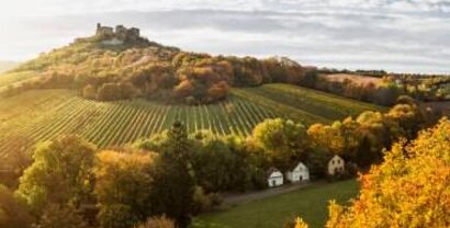 Panoramabild der Burgruine Falkenstein im herbst