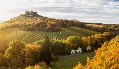 Panoramabild der Burgruine Falkenstein im herbst