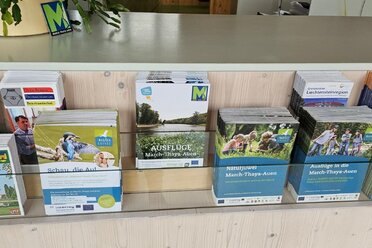 Broschüre Tagesausflüge in den March-Thaya-Auen, C: Regionalverband March-Thaya-Auen Die Broschüren des neuen Tagesausflugsprogramm in den March-Thaya-Auen stehen neben anderen Informationsbroschüren in einem Holz-Werbemittelständer.