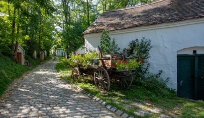 Kellergasse Weinviertel