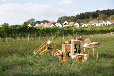 Zu sehen ist eine Gruppe an verschiedenen Produkten aus dem Weinviertel, mit Wein, Zwiebel, Äpfel, Honig, Getreide, Brot, Schinken, Weintrauben und Kürbisse, platziert auf Holzkisten. Ein Weinviertel-Hut mit einer Ratsche. Im Hintergrund ist ein Weingarten und in der Ferne eine Kellergasse zu sehen.