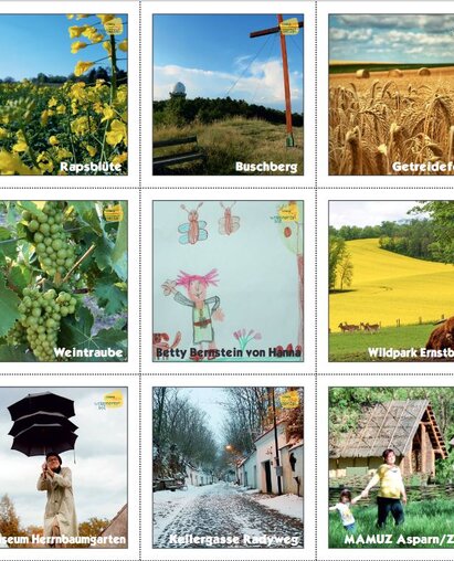 PDF des Weinveirtel memory zum ausdrucken