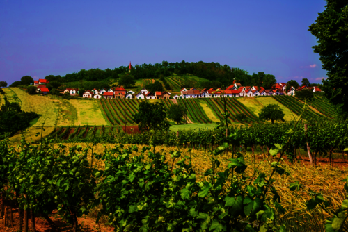 Panoramaaufnahme der Kellergassewildendürnbach 