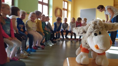 Foto von dem Kuscheltier Schaf Lotte, bei einem Besuch in einer Volksschule
