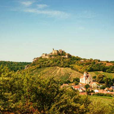 Panoramaaufnahme der Burgruine Falkenstein im Sommer (c) Clara J. Schreiber
