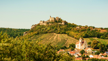 Panoramaaufnahme der Burgruine Falkenstein im Sommer (c) Clara J. Schreiber