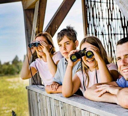 Kinder auf einer Aussichtplattform die in die Natur schauen.