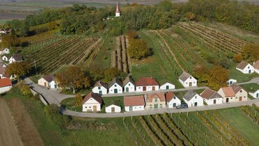 Eine Luftaufnahme vom Galgenberg in Wildendürnbach, weiße Presshäuser in zwei Reihen.