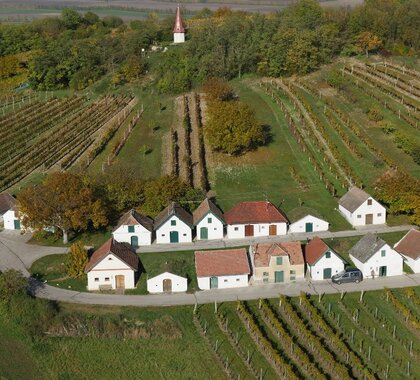 Eine Luftaufnahme vom Galgenberg in Wildendürnbach, weiße Presshäuser in zwei Reihen.