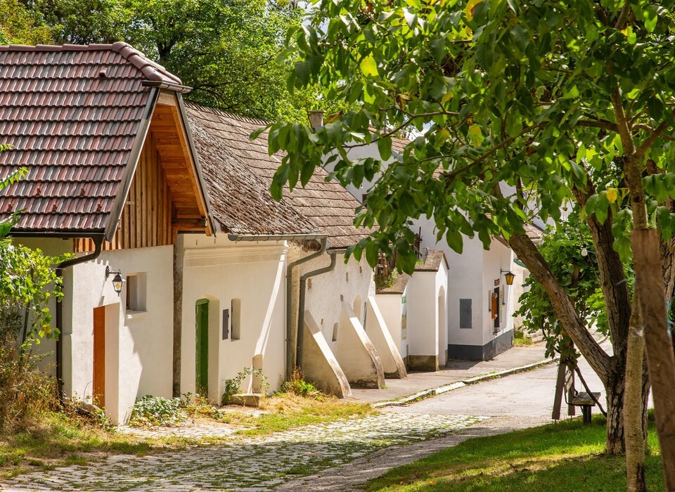 Kellergasse Weinviertel im Sommer (c) Semrad