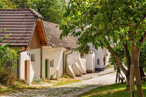 Kellergasse Weinviertel