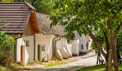 Kellergasse Weinviertel