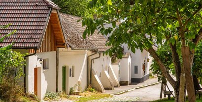 Kellergasse Weinviertel