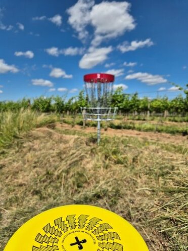 Im Hintergrund ist ein Discgolf Korb zu sehen, im Vordergrund wird eine gelbe Scheibe (DIsc) geworfen.