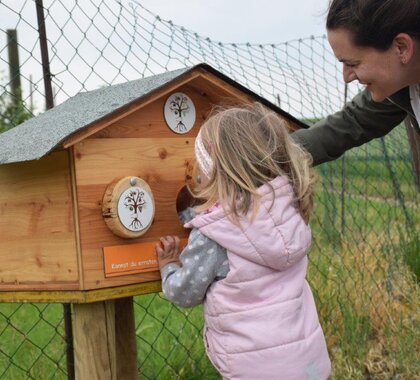 Ein kleines Mädchen schaut in ein Insektenhaus.