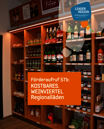 Sujet Fördercall 57b PDF-Dokument Sujet Fördercall 57b