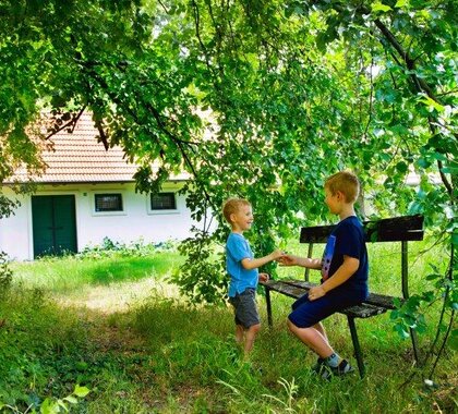 Kellerviertel in Prottes, im Hintergrund ist ein weiß gefärbter Keller zu sehen, im Vordergrund ein Laubbaum unter dem zwei Kinder auf einer Holzbank sitzen. 