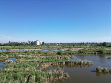 Zwischenlager (C) AURING, Ute Nüsken Landschaftsaufnahme der vogel.schau.plätze in den March-Thaya-Auen mit mehreren Wasserflächen, Schilfzonen und Feuchtwiesen unter blauem Himmel. Im Hintergrund ist die ehemalige Zuckerfabrik und die weite Aulandschaft zu sehen.